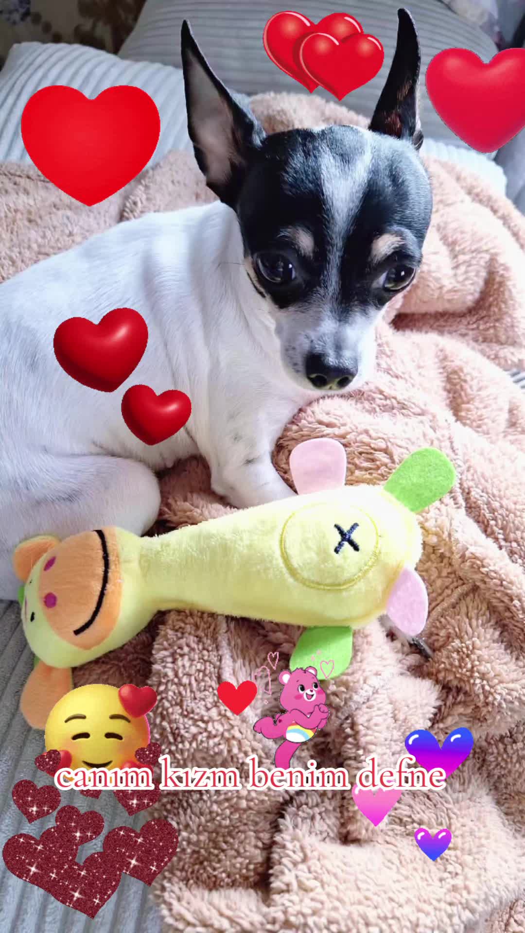 @Melek melek 🌹😇