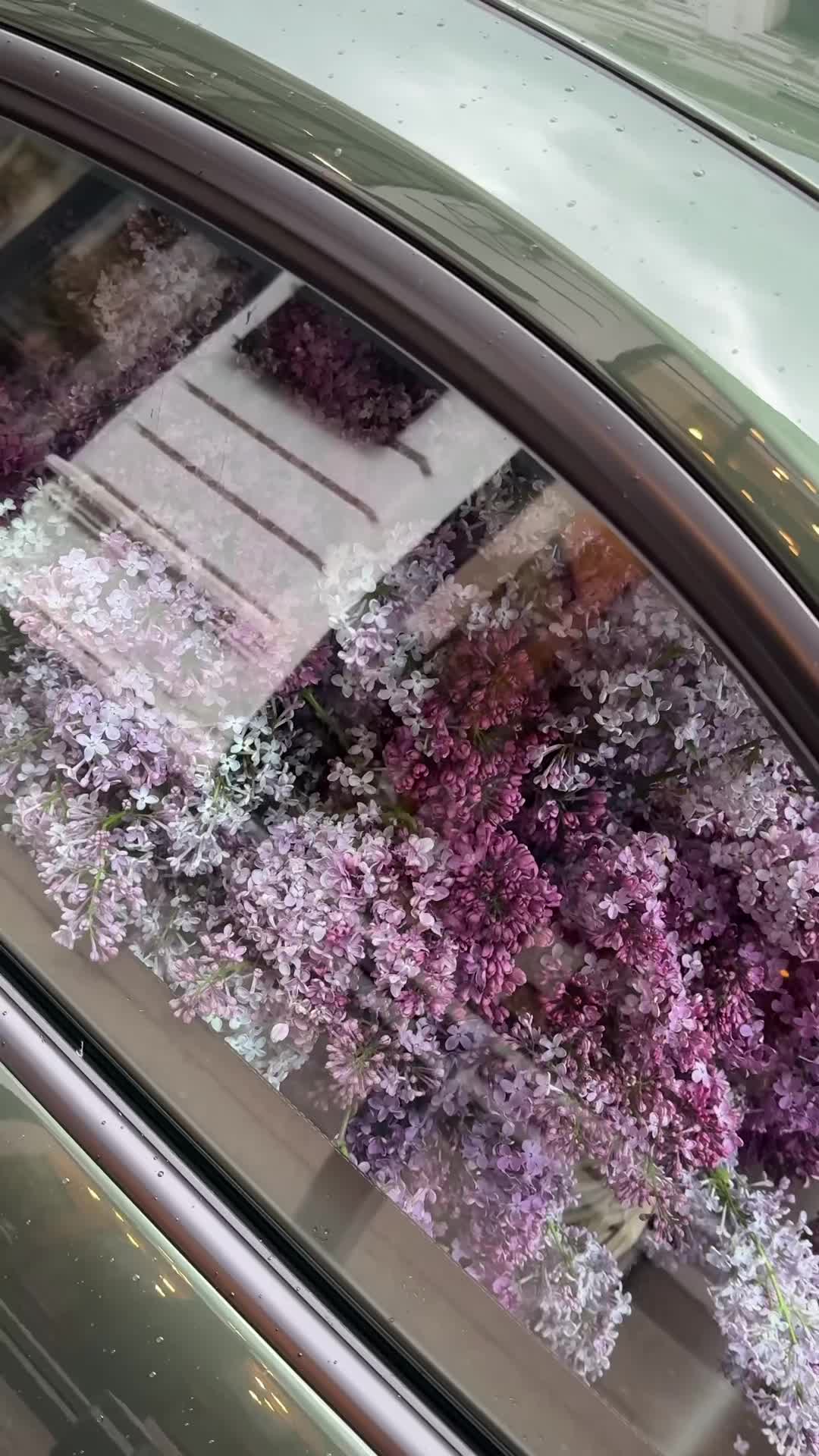 @Floraria Iris