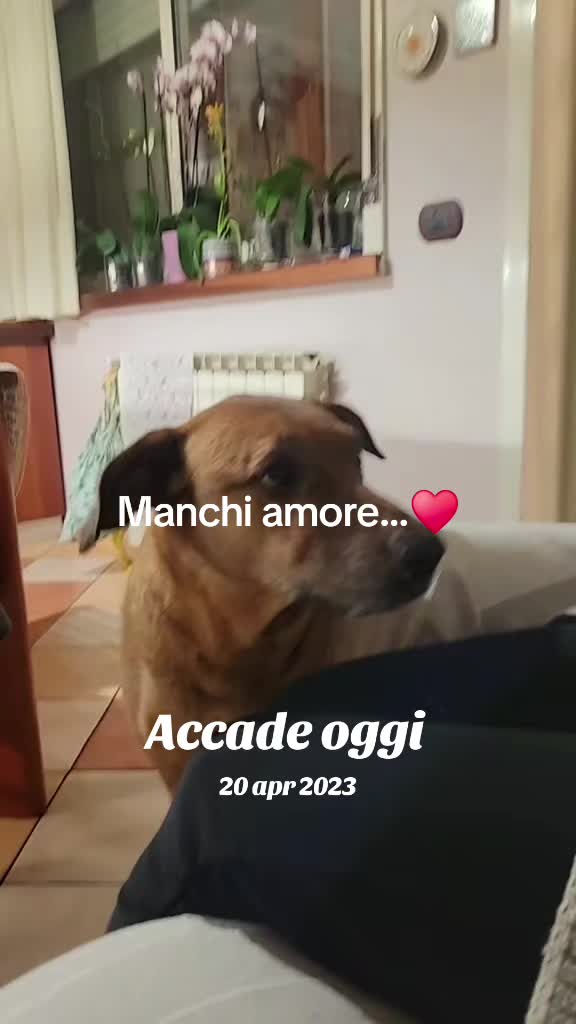 @Vale....🤗