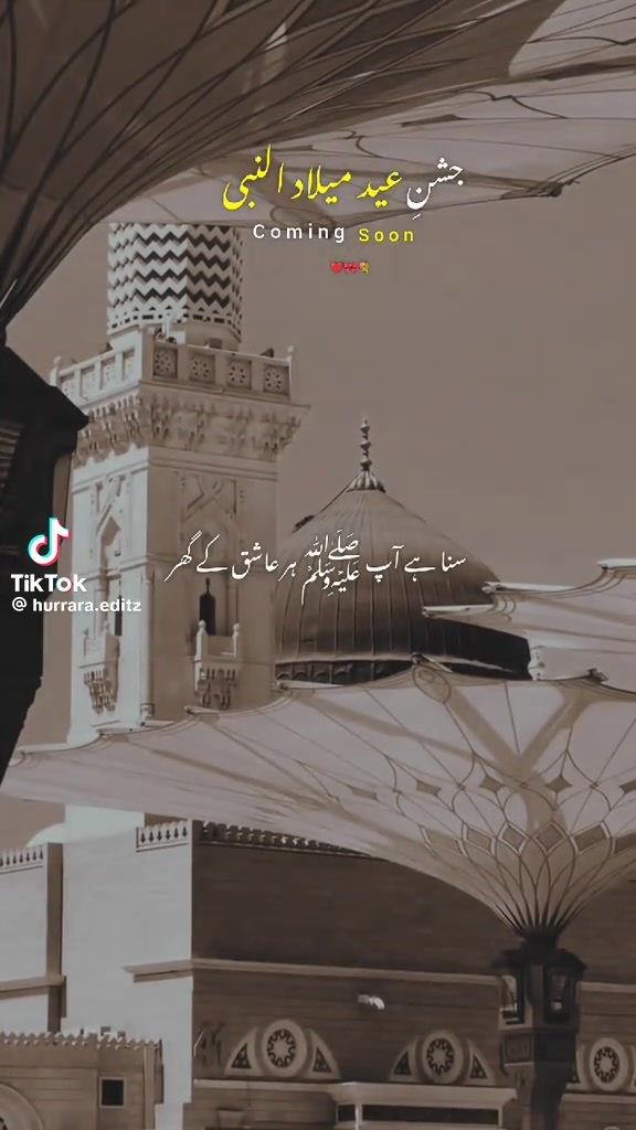 @misbah.hamid66