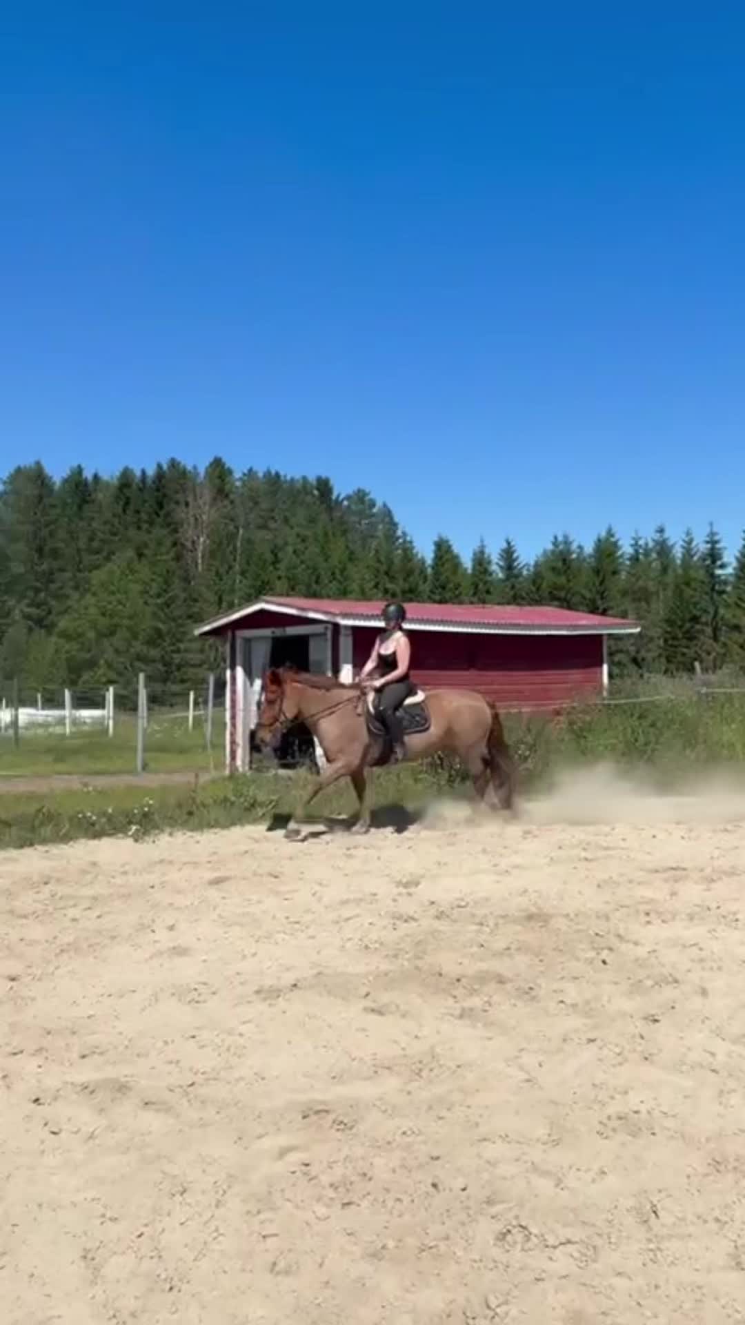 @🦄🦄
