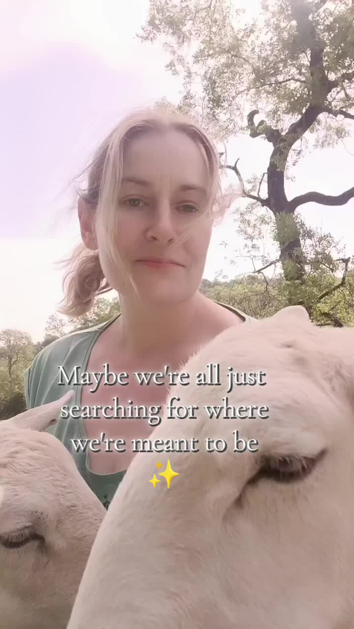 @fieldsforevere42