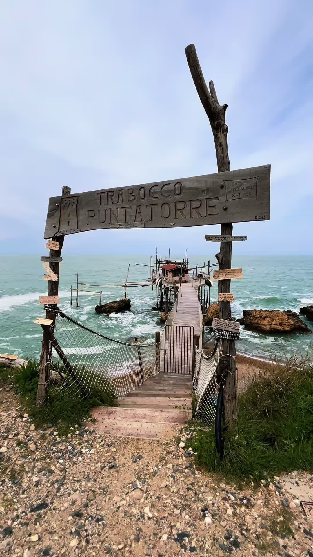 @fiorellacotugno