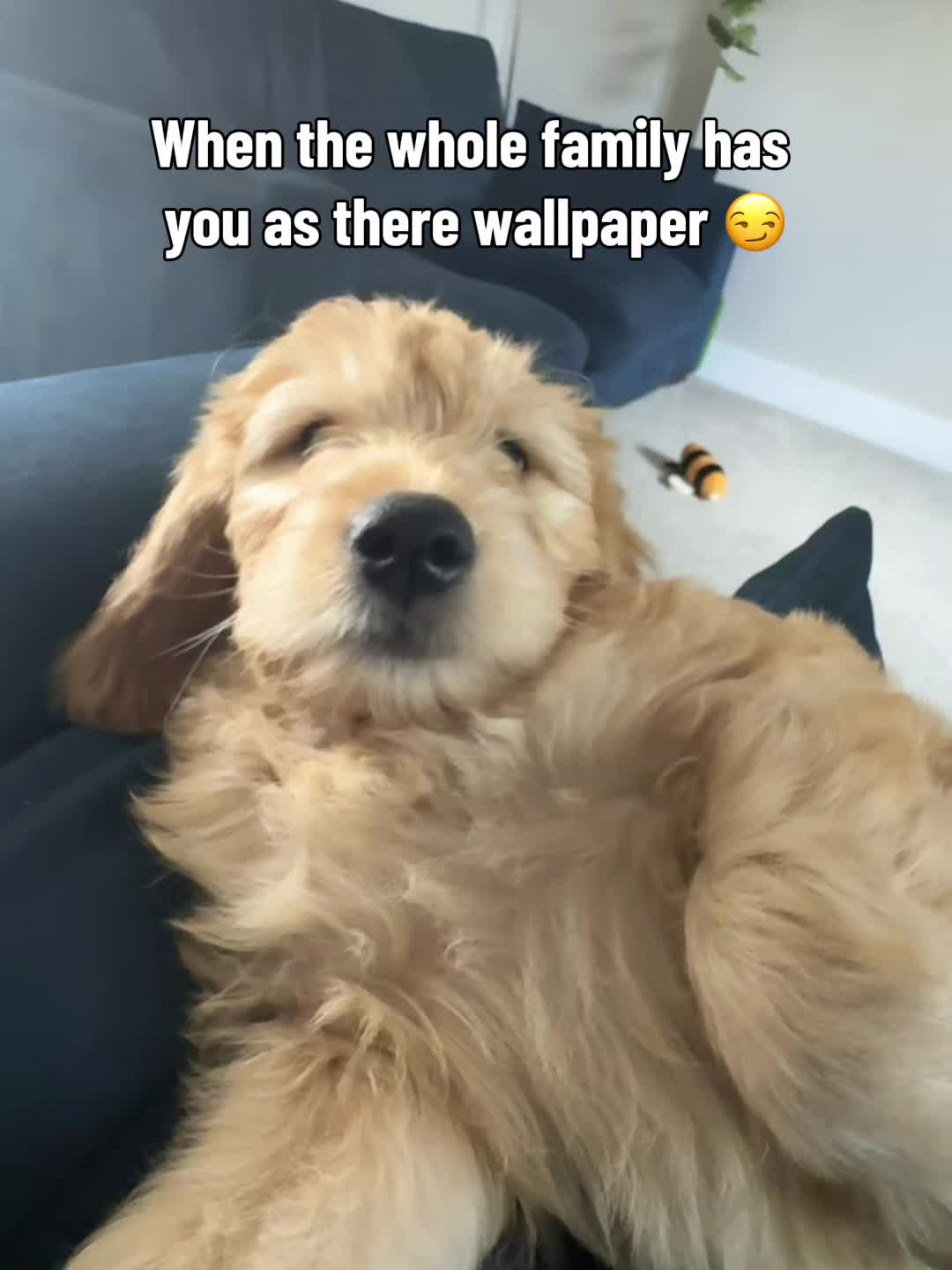 @HugsFromRalph