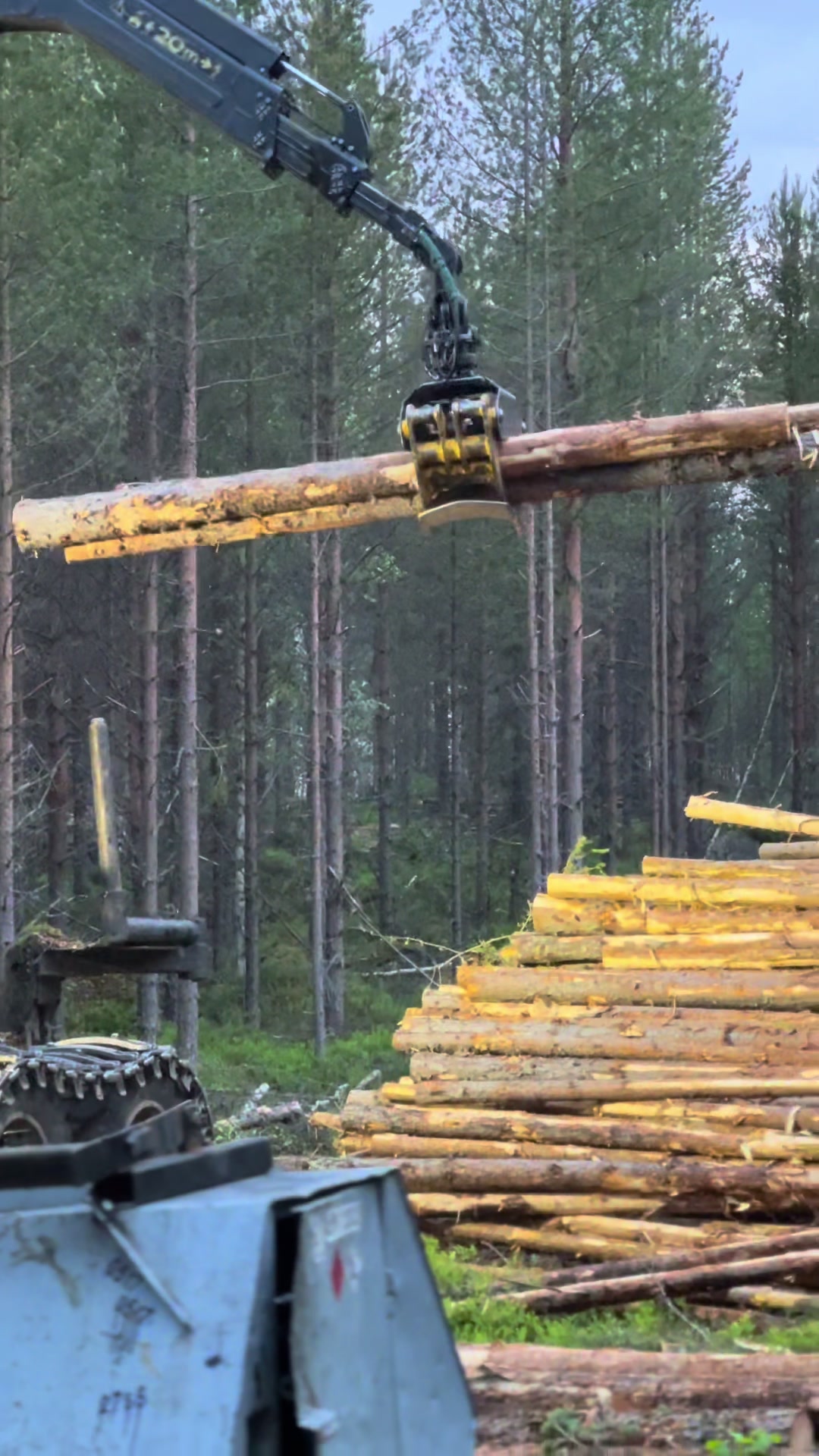 @www.edvard.se