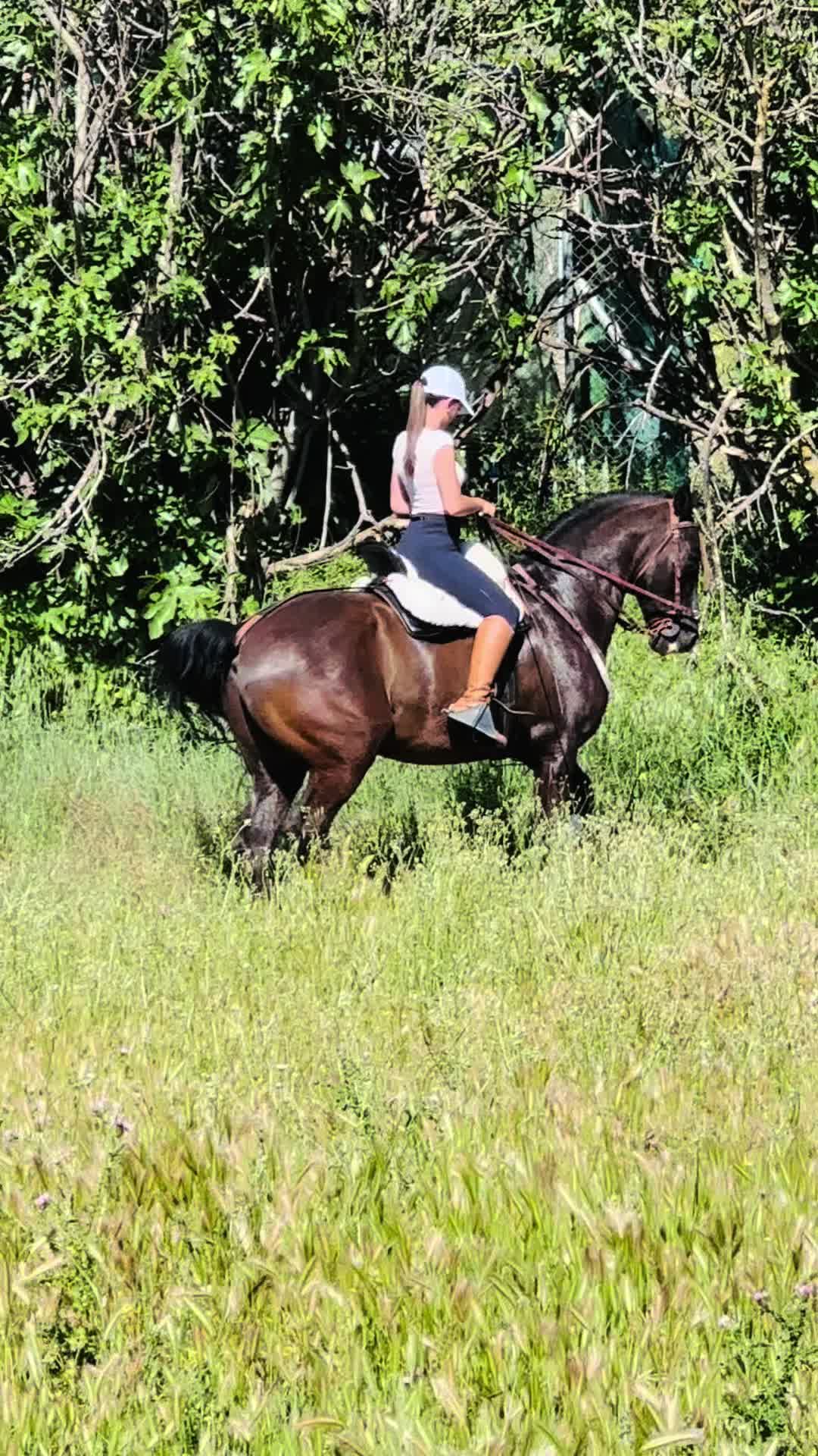 @Sandra Molina🐎🇪🇸