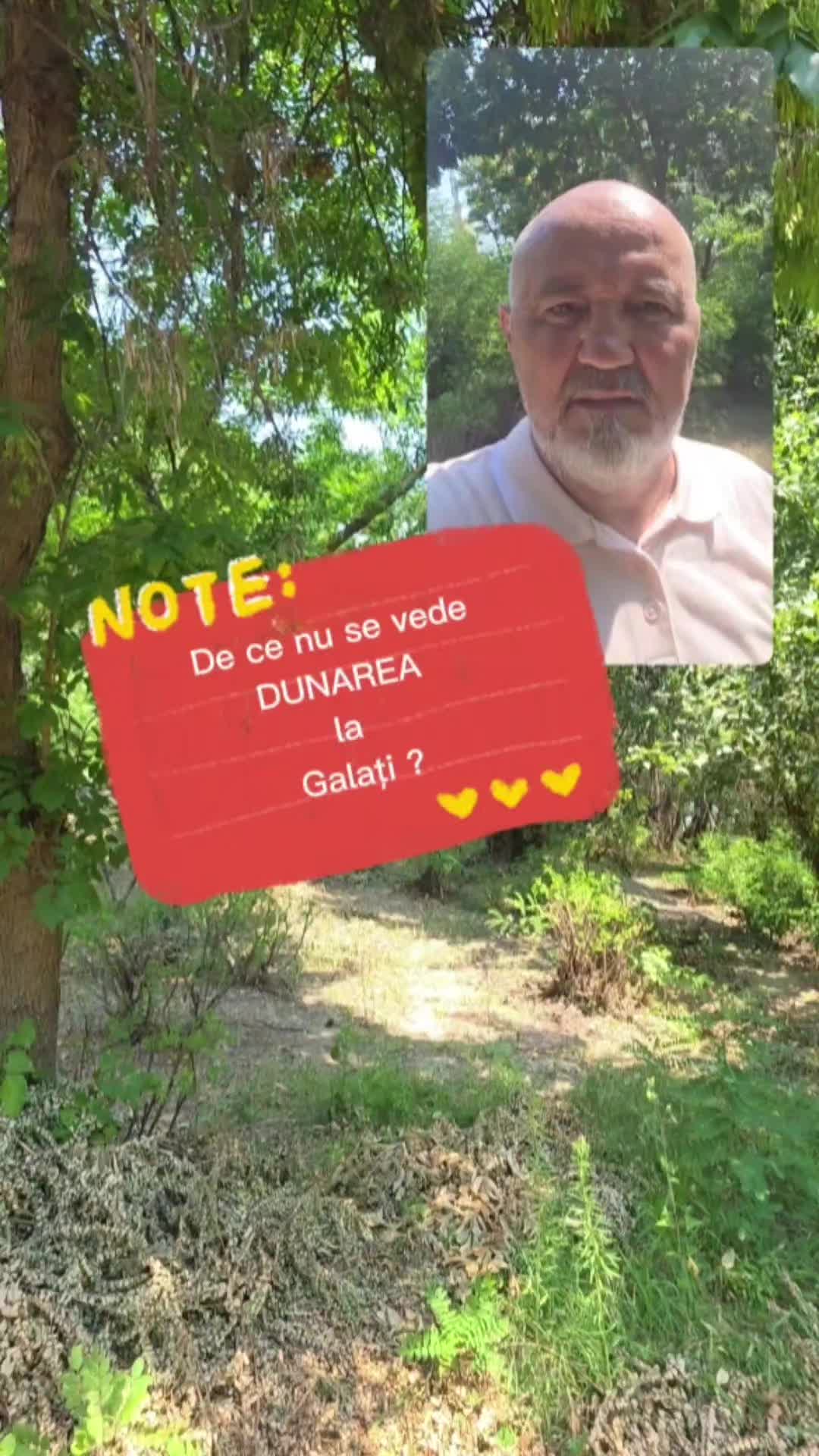 @George Stefanache