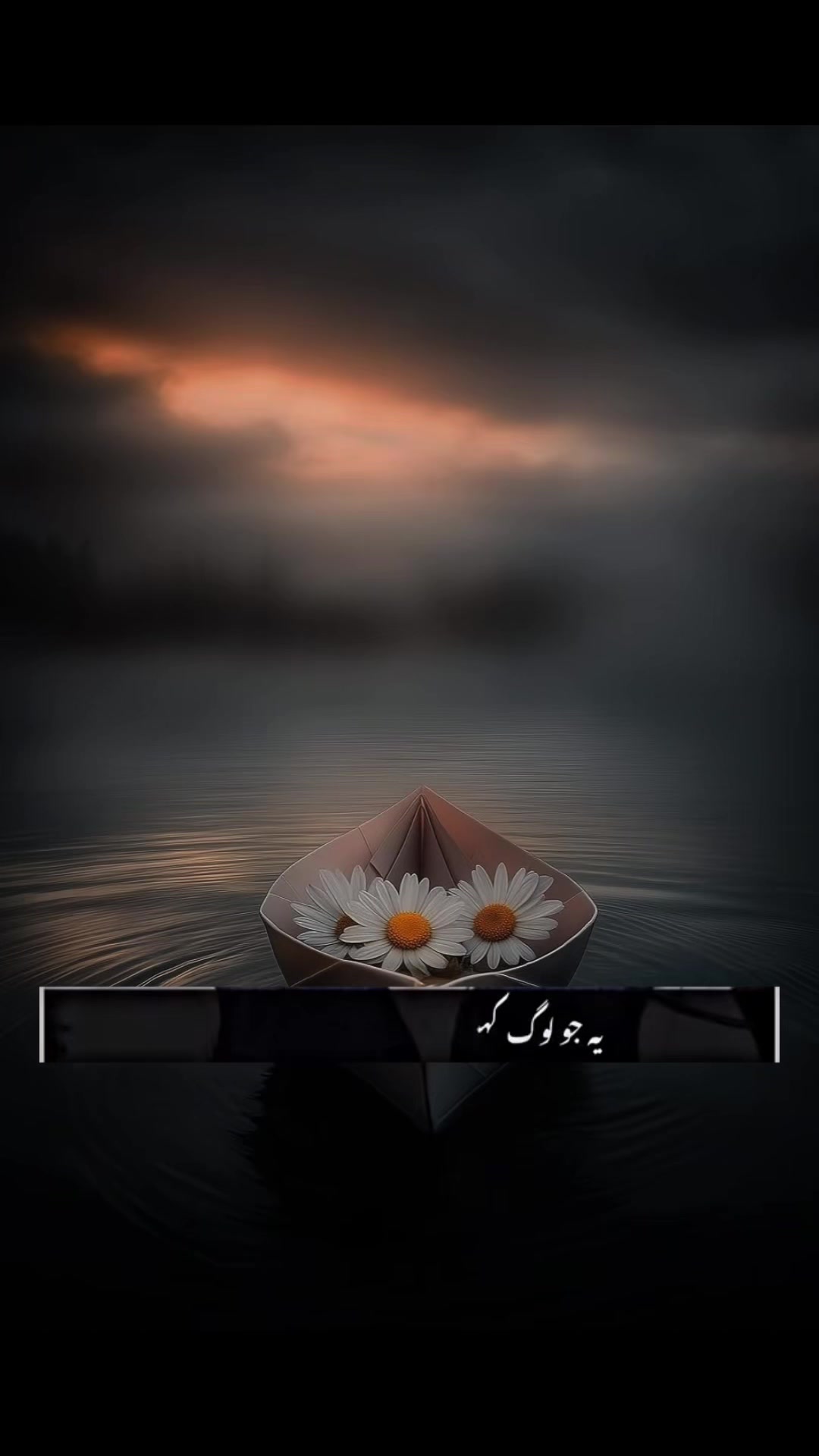 @Nisba786💗🇬🇧🇵🇰