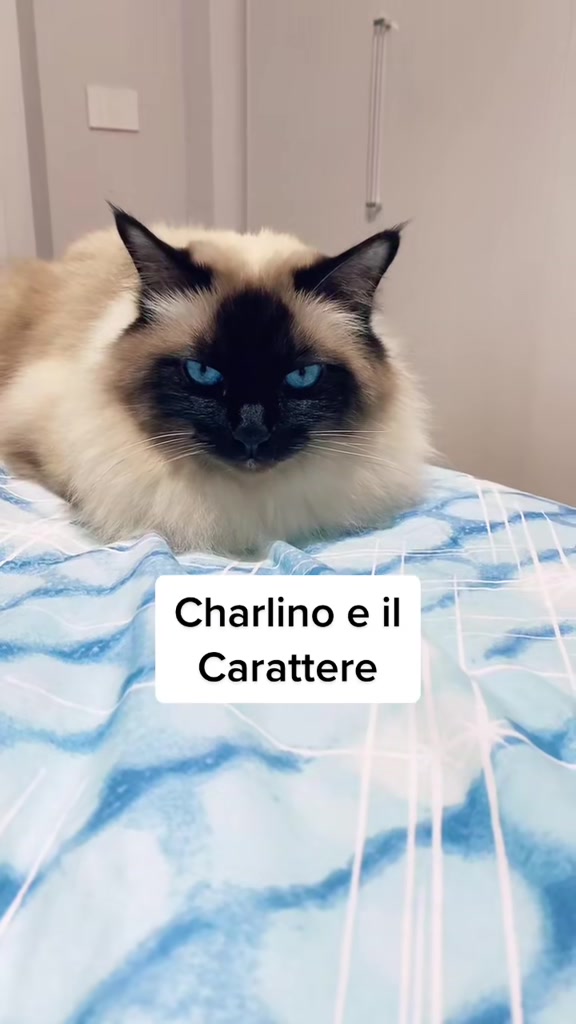 @Cristina Tarantino