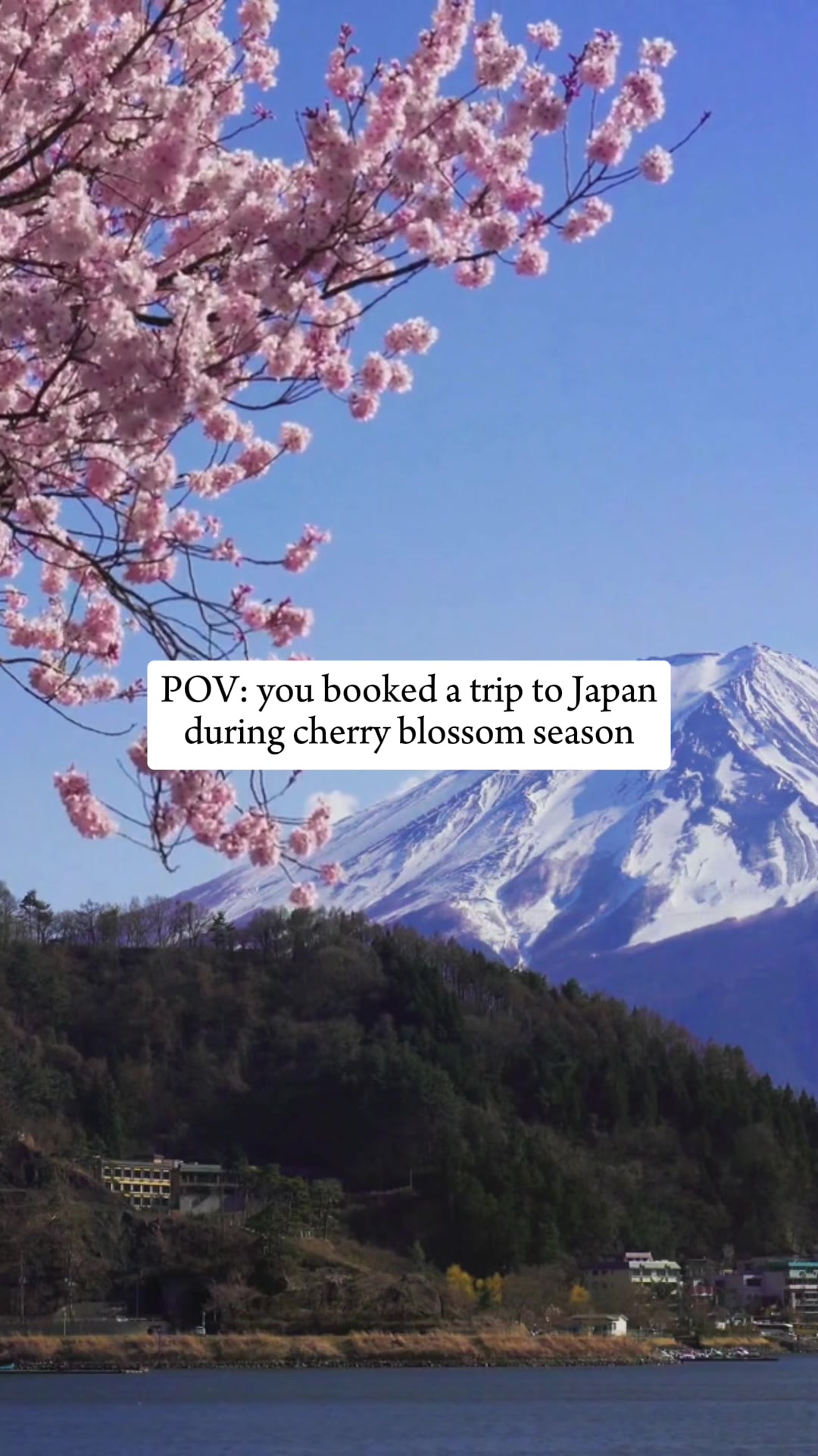 @Heartwood Travels