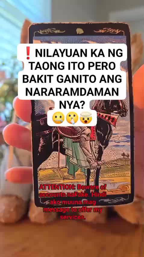 @thetarotreader11.11