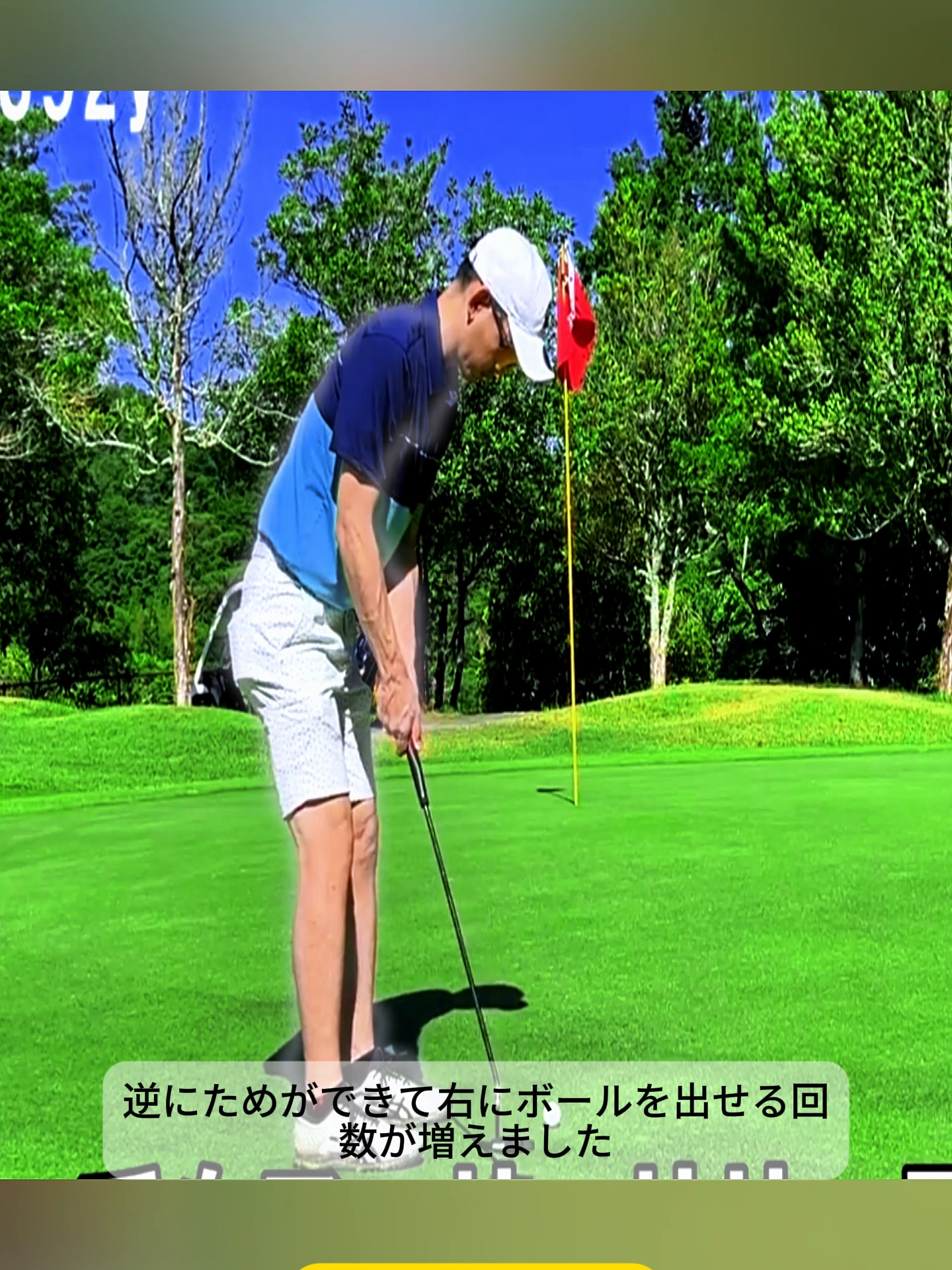@Sayaka