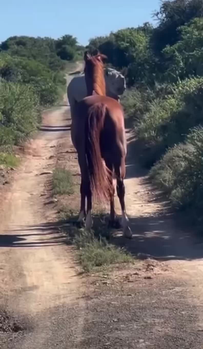 @Pedroj60malaga