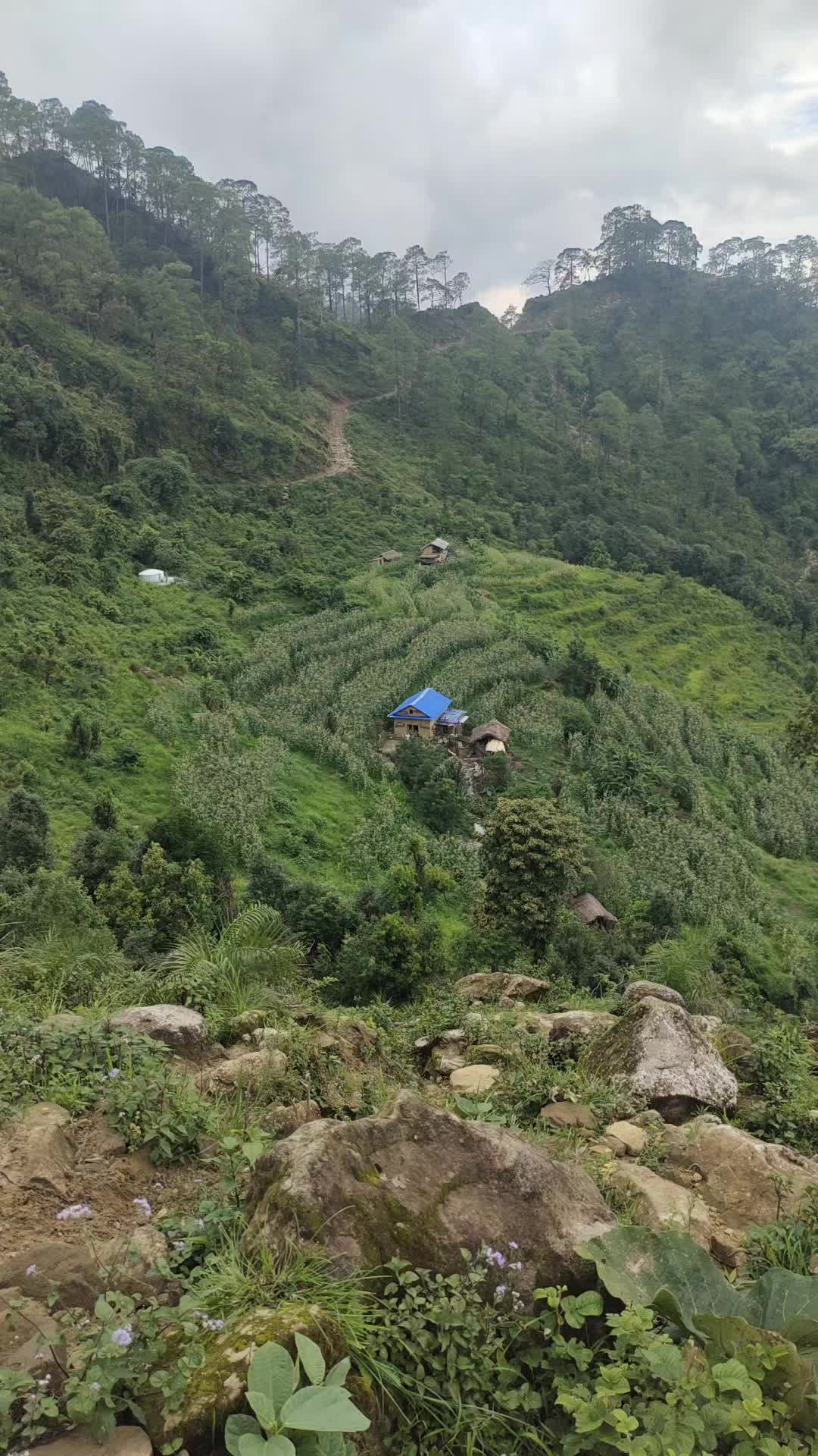 @amrita khadka oli