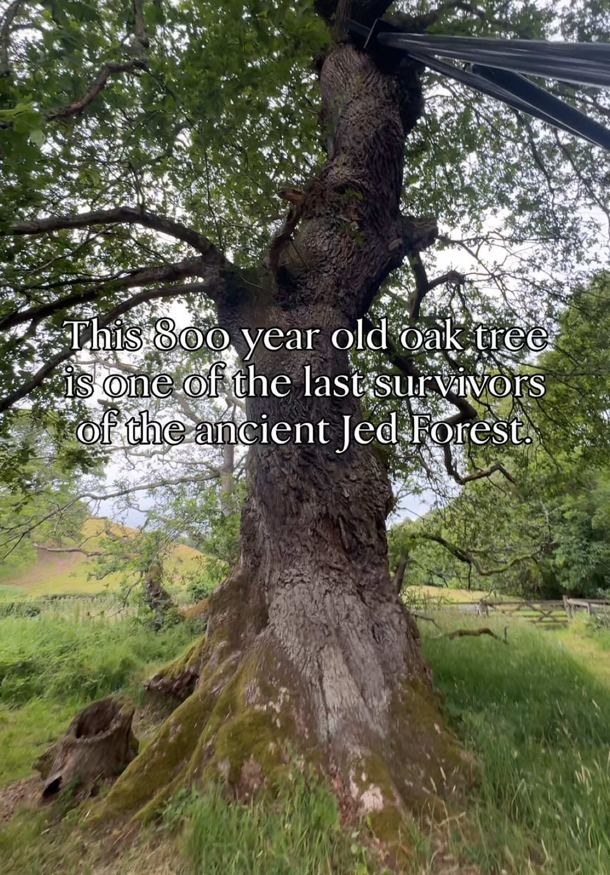 @Emily In Scotland