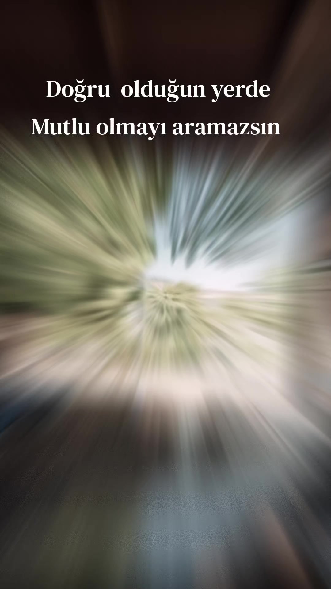 @💫𝕲𝖊𝖈𝖊 𝕺𝖑𝖚𝖓𝖈𝖆💫