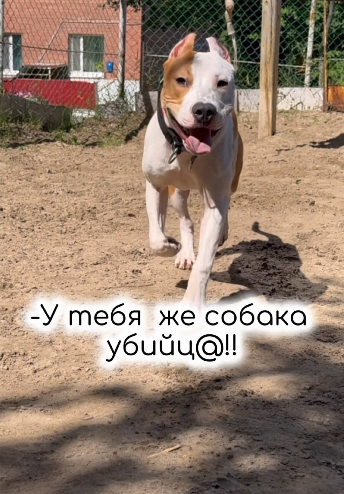 @ТГК- АСТ ГУФ