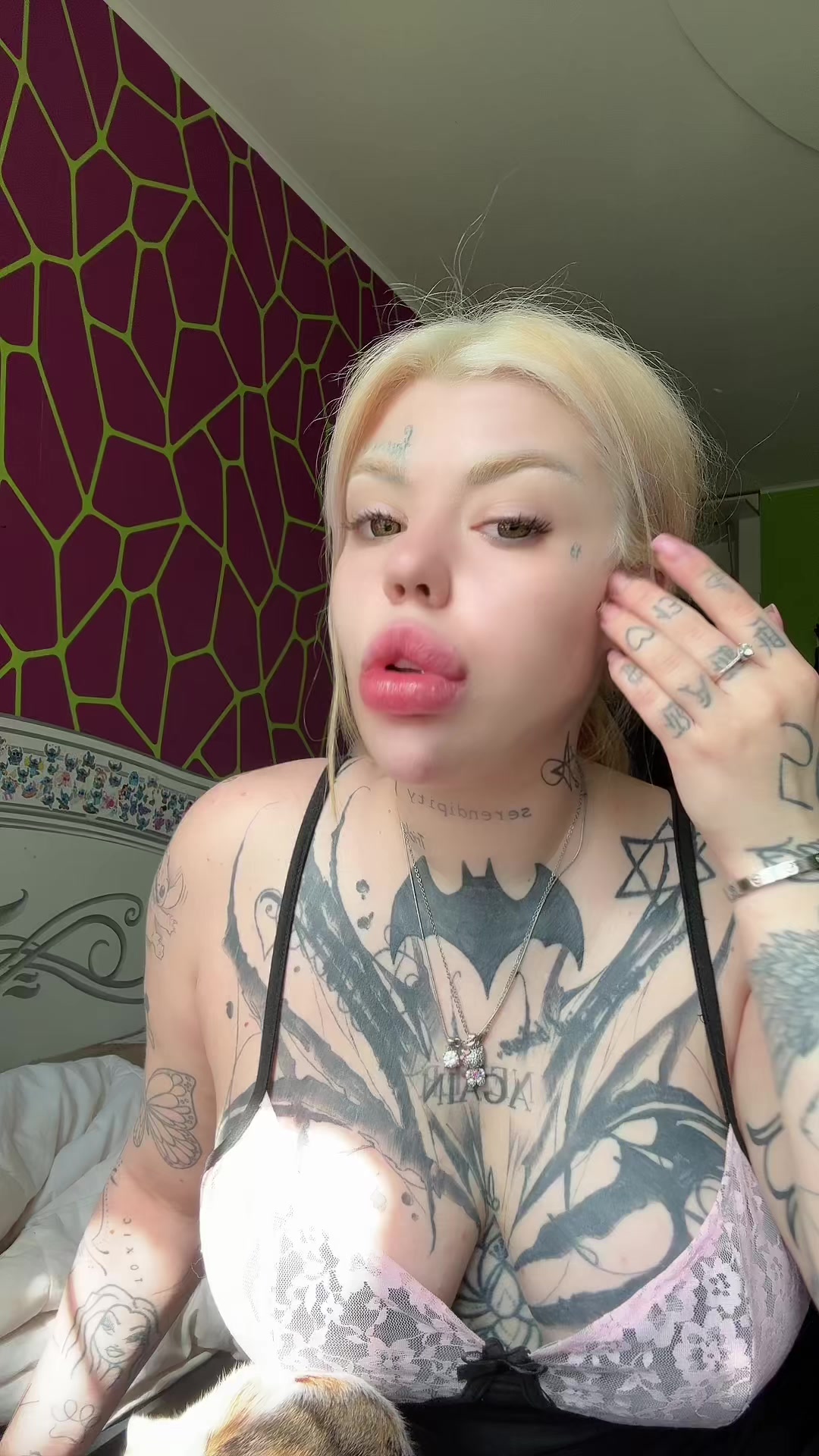 @SofiaLoran