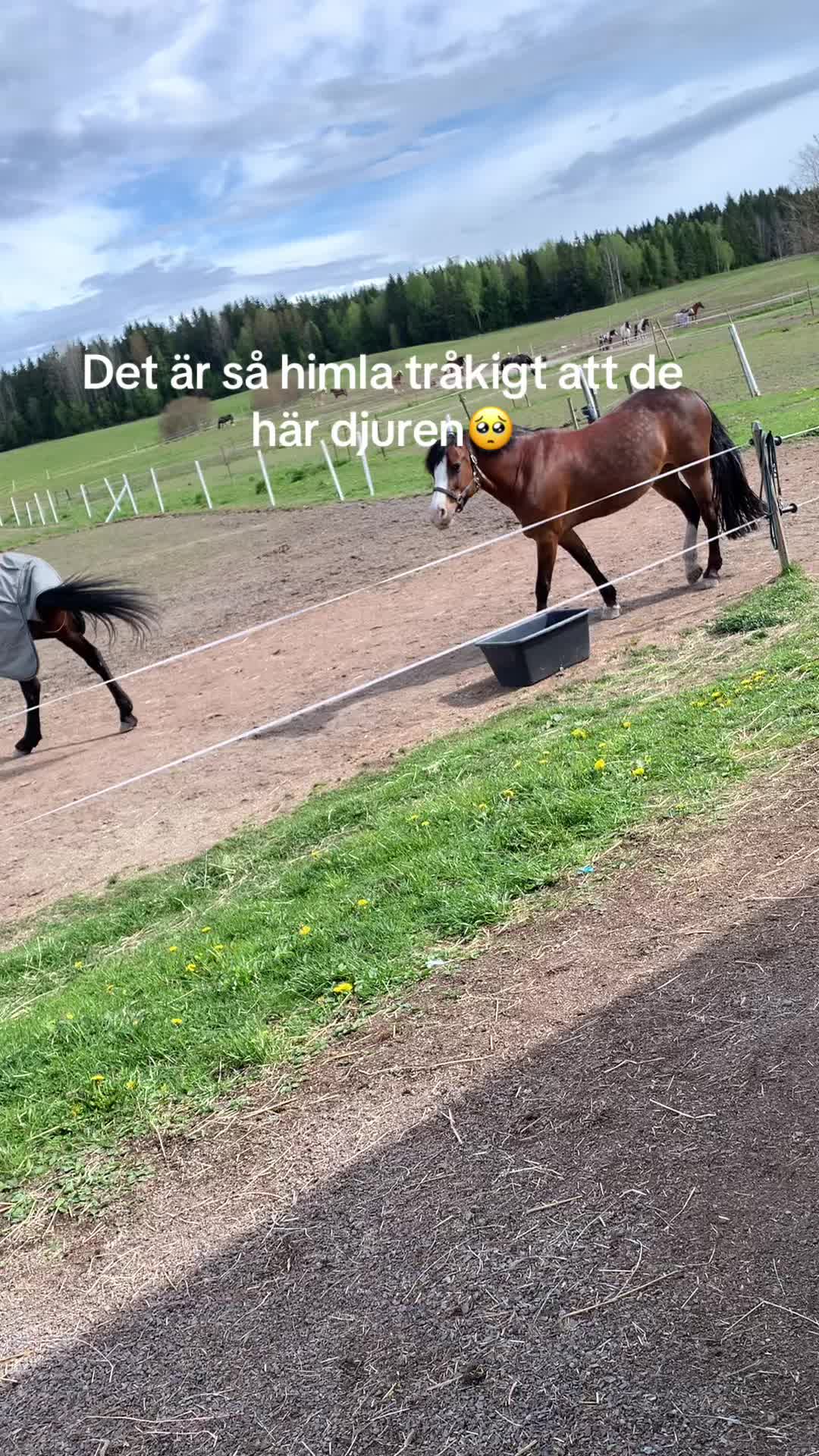 @duvetint