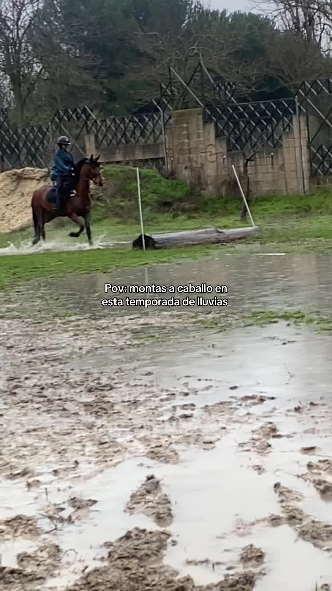 @lilaa 🏇🫀