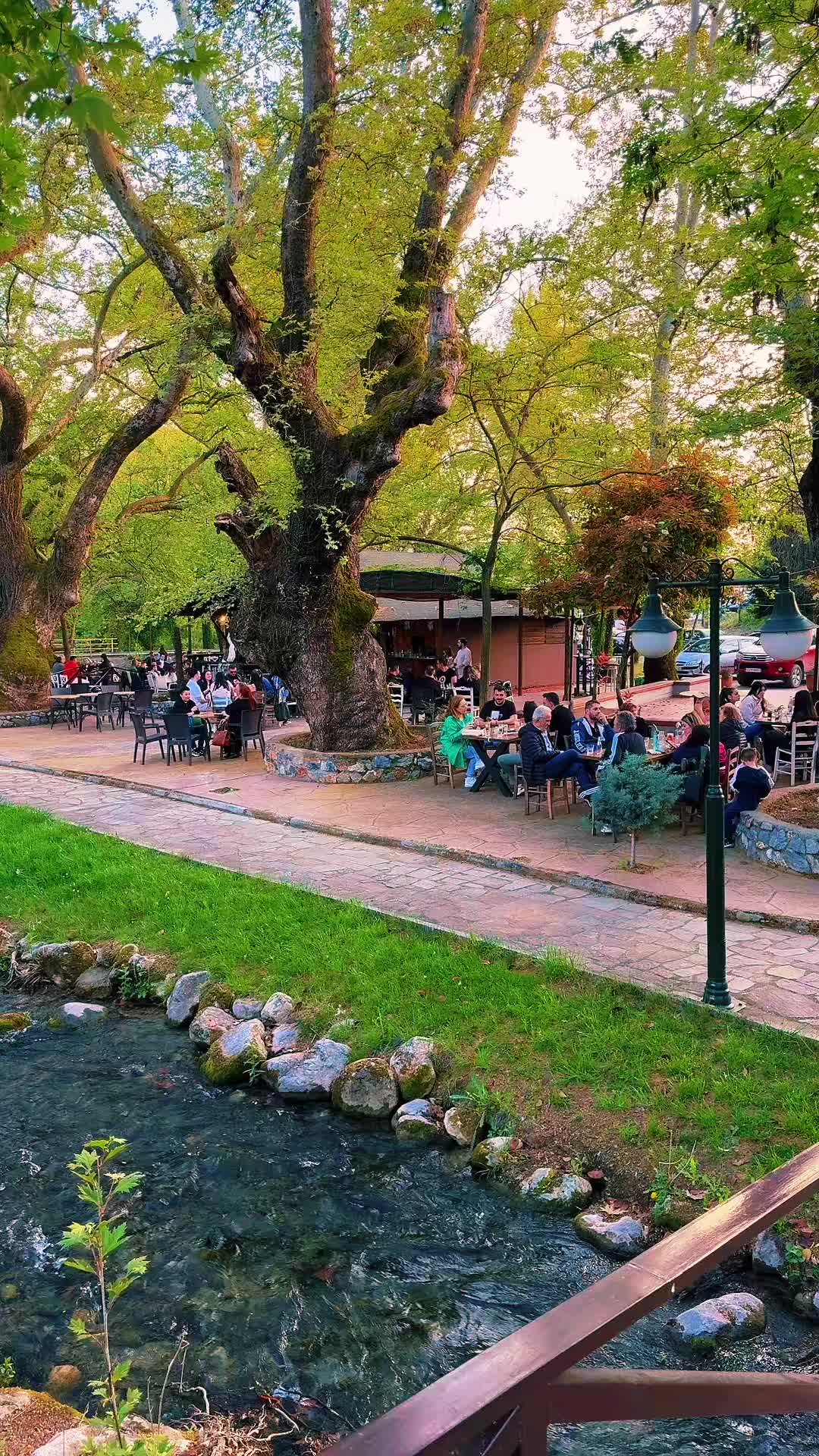 @ΠΑΡΑΔΕΙΣΙΟ ΠΟΛΥΧΩΡΟΣ MasaBa