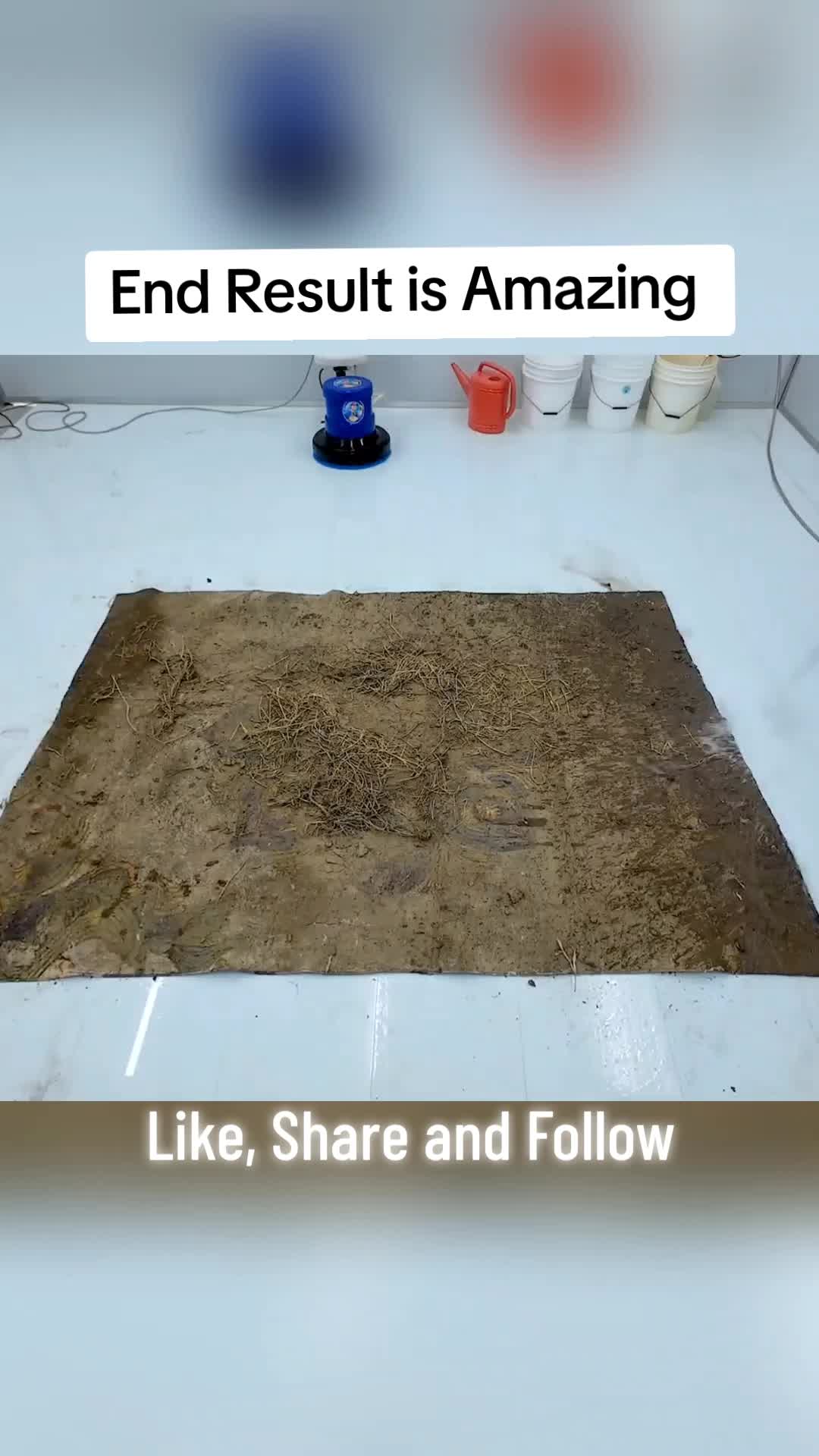 @Rug Restore