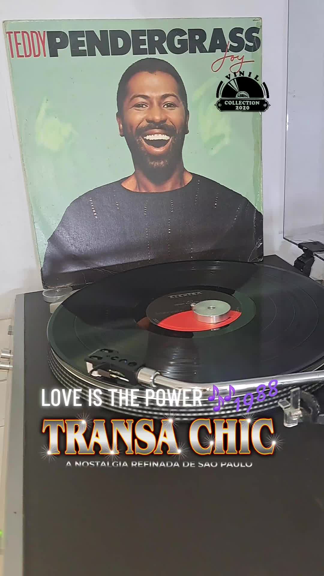 @TRANSACHIC NOSTALGIA BLACK