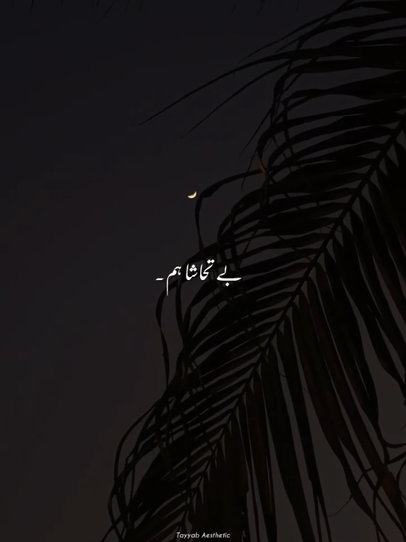 @𝙏 𝘼 𝙔 𝙔 𝘼 𝘽🍁•