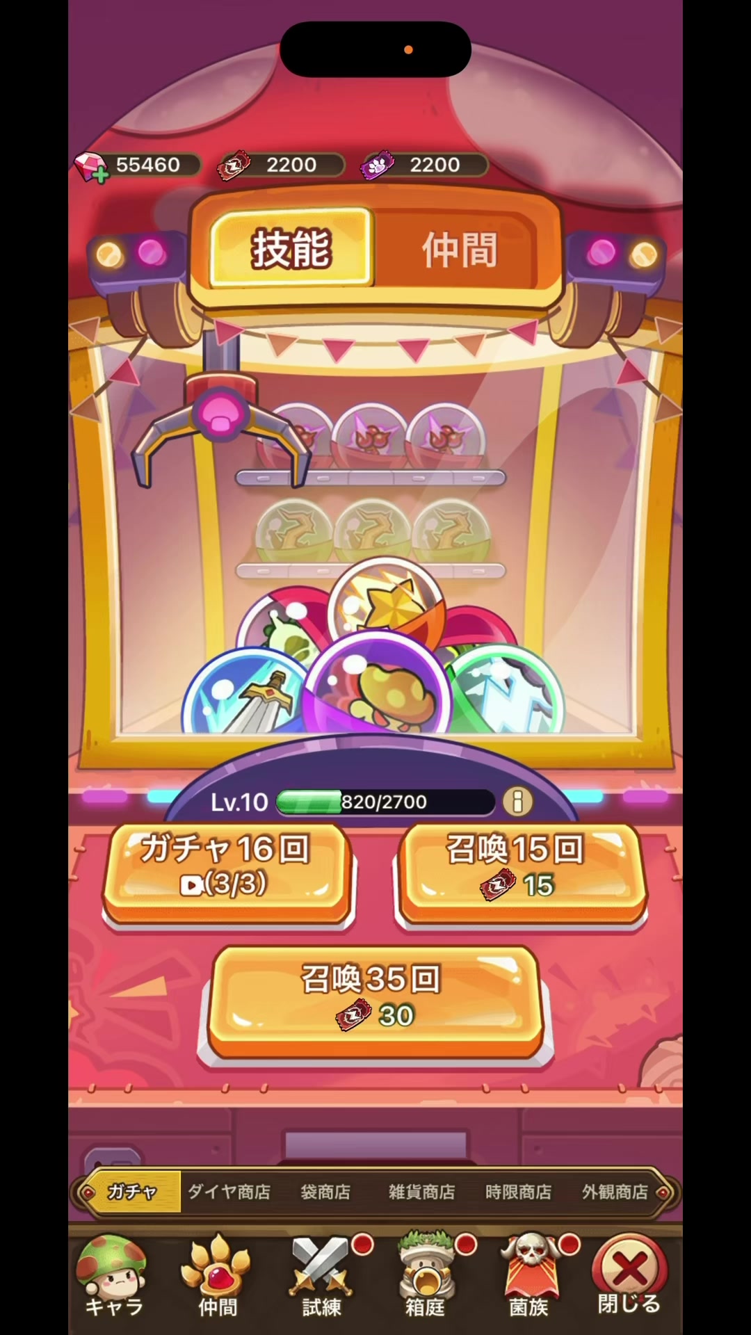@ティマ(⊙&omega;⊙)