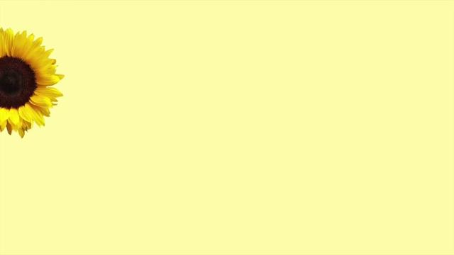 @𝓚𝓪𝔂𝓵𝓪 𝓔𝓵𝓲𝔃𝓪 💛🌻𝜗𝜚