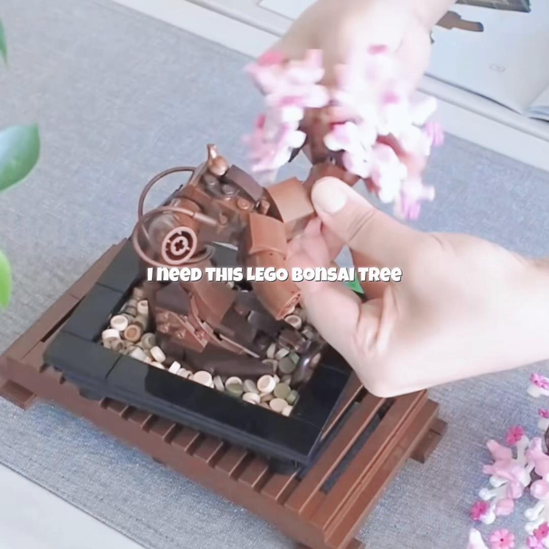 @𝒥ℯ𝒿ℯִֶ ᖭི༏ᖫྀ ࣪ ִֶָ🪽་༘࿐