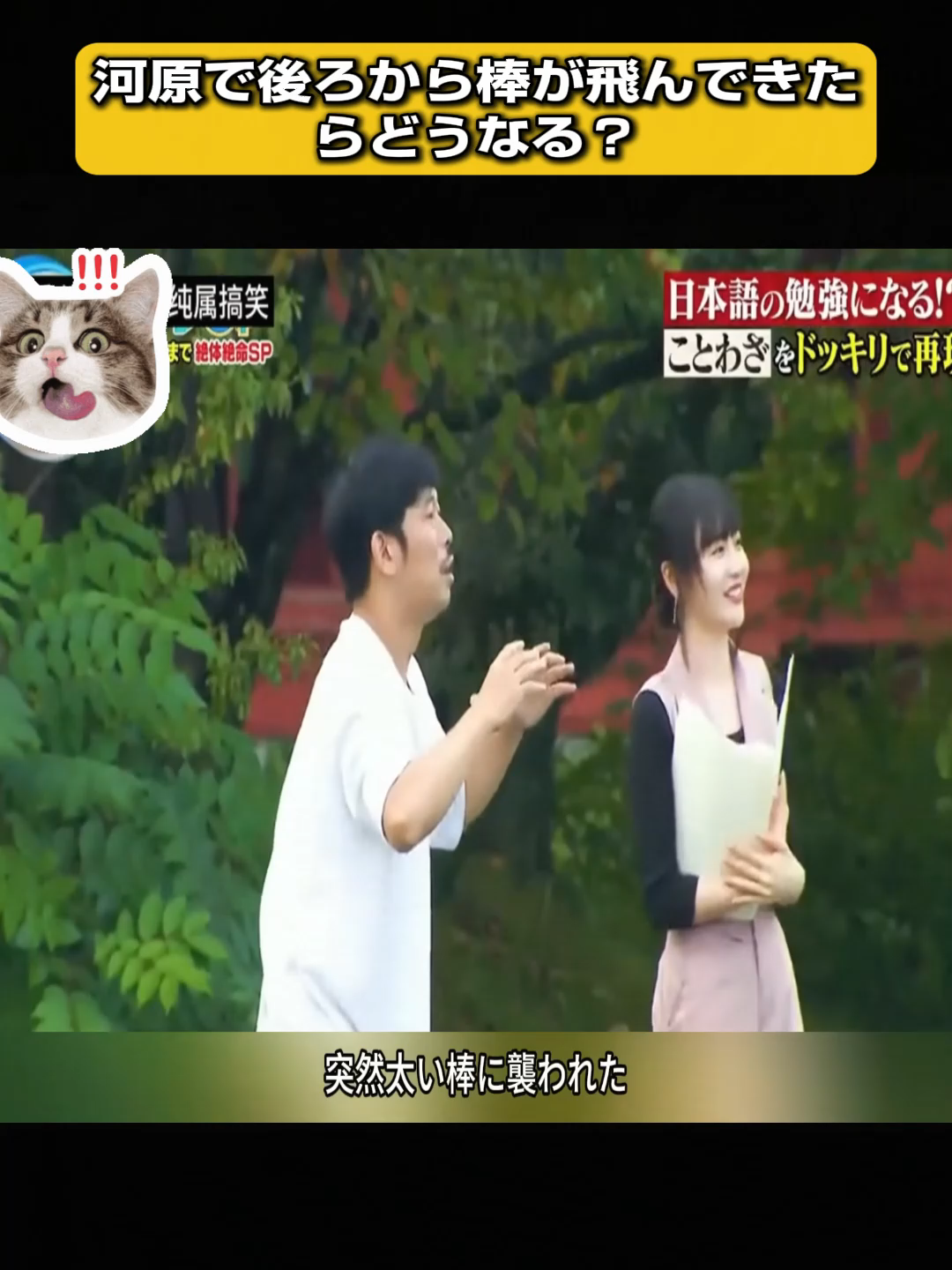 @ソラタビの泉:謎と雑学の探検隊