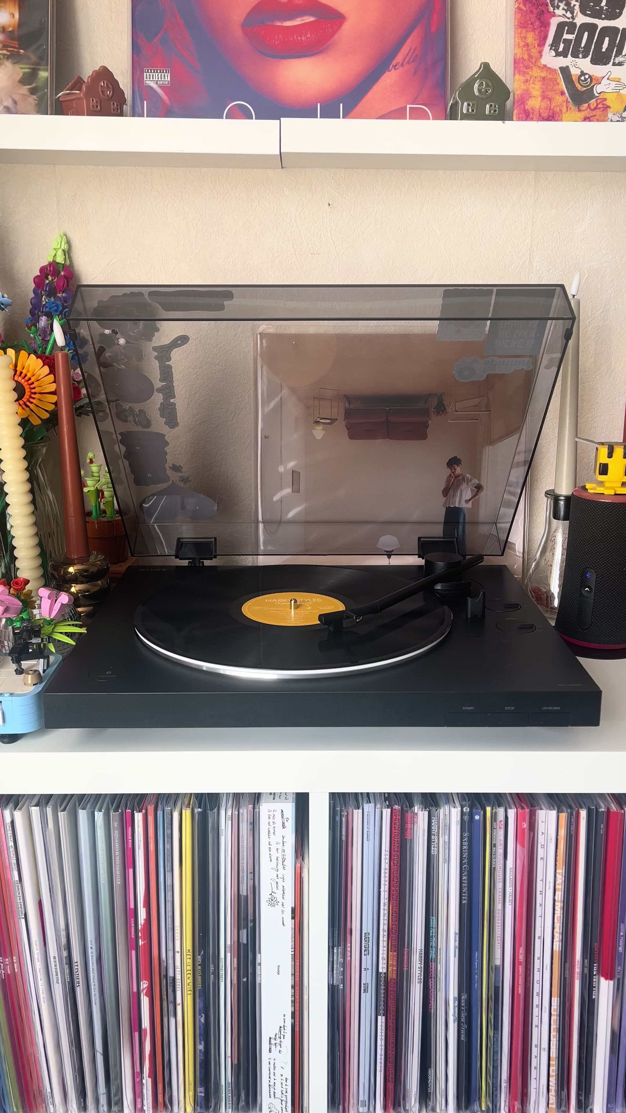 @Rolien || Vinyl & Records