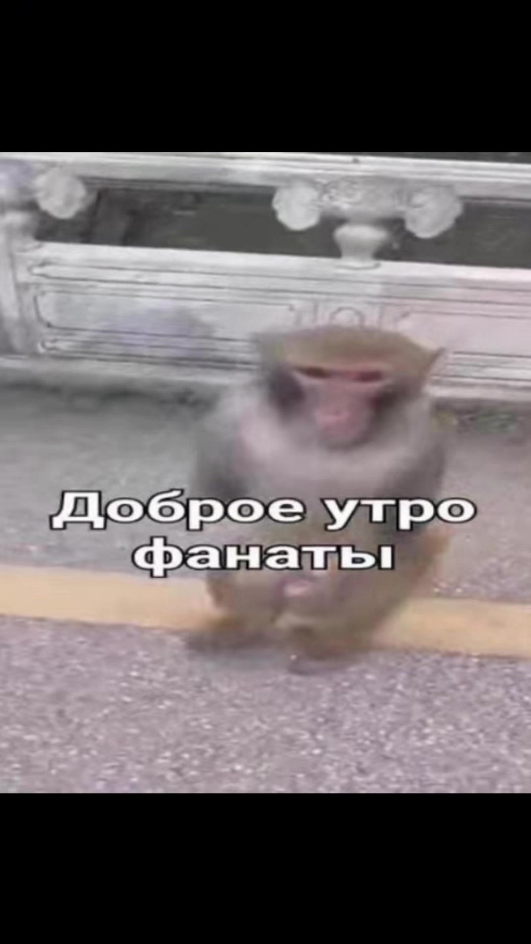 @nettakix1