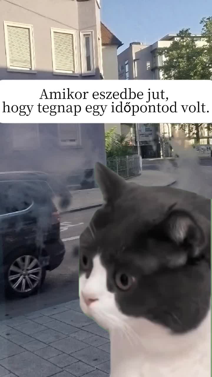 @tiborbenko7