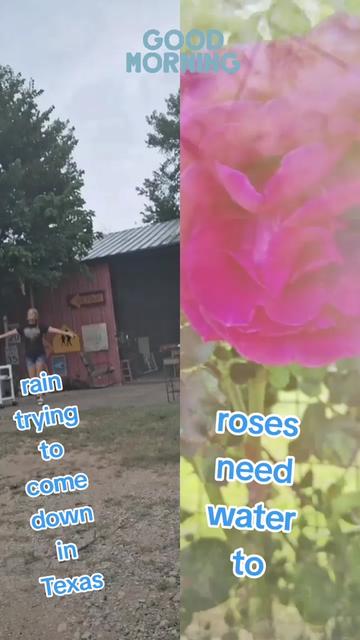 @🇨🇱❌️'B'❌️ 🌹🦂