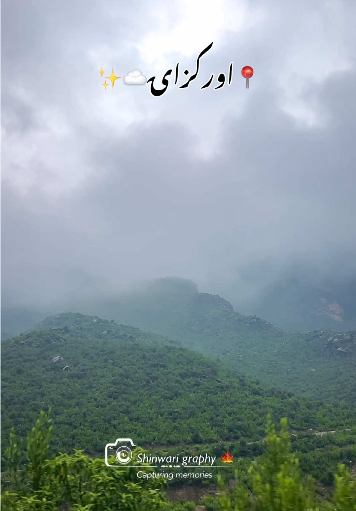 @Shinwari Graphy