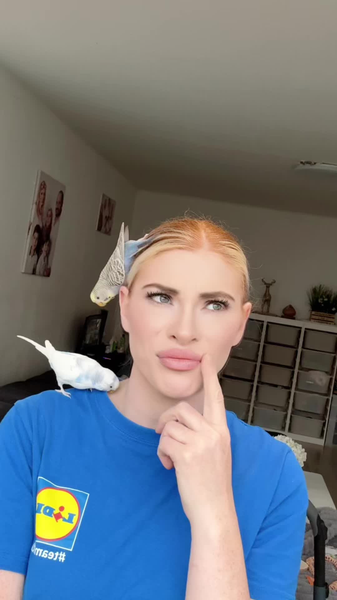 @kata_birdy