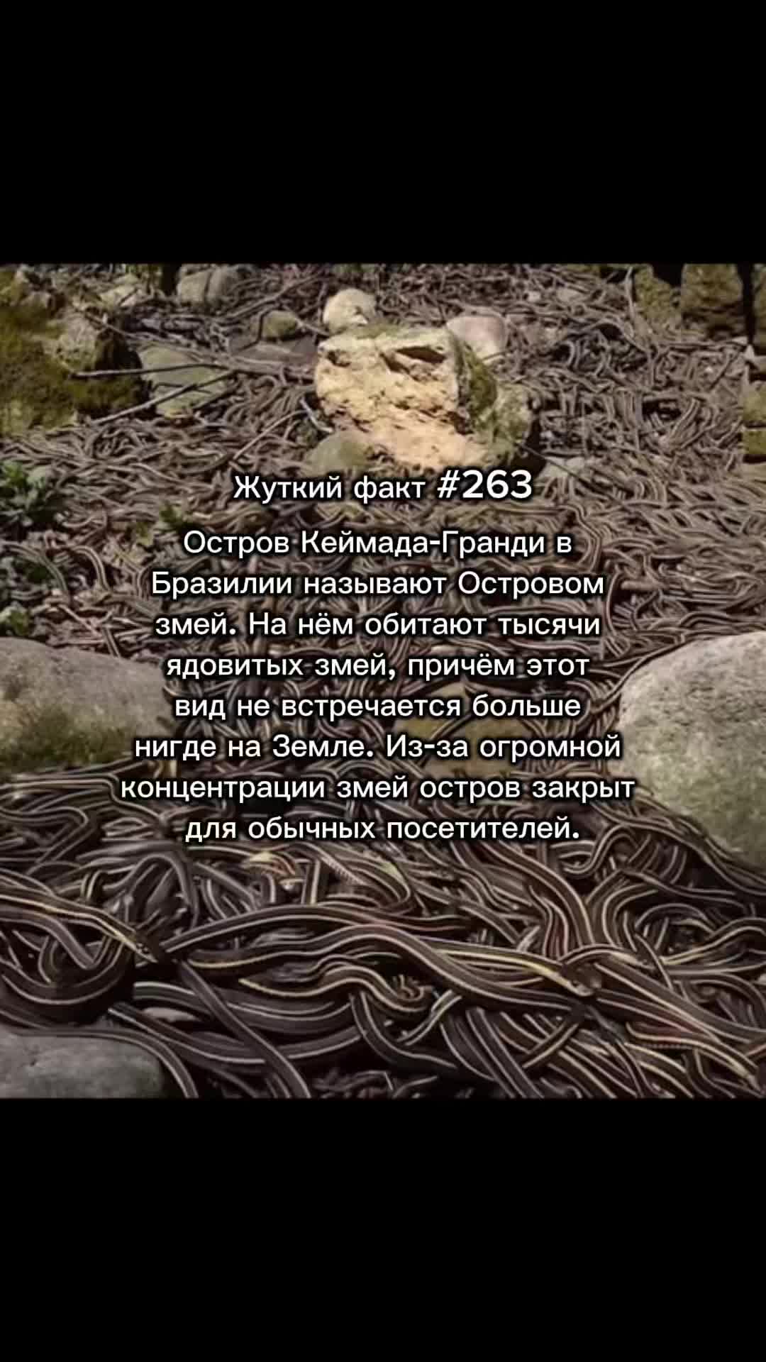 @darkwhispers