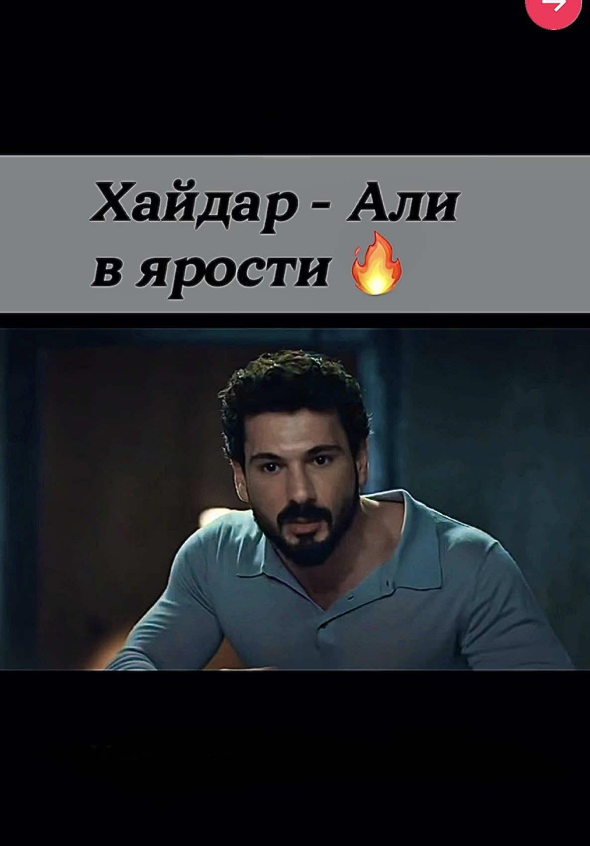@turk.dis