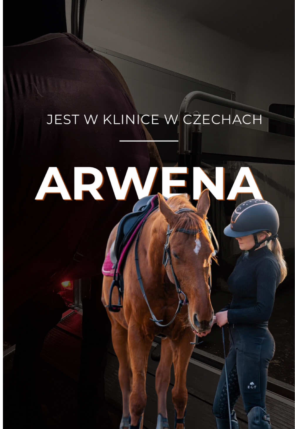 @Harmonia Jeździectwa