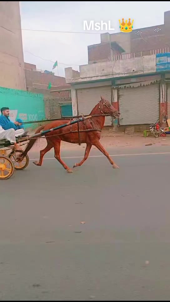@user79349784079