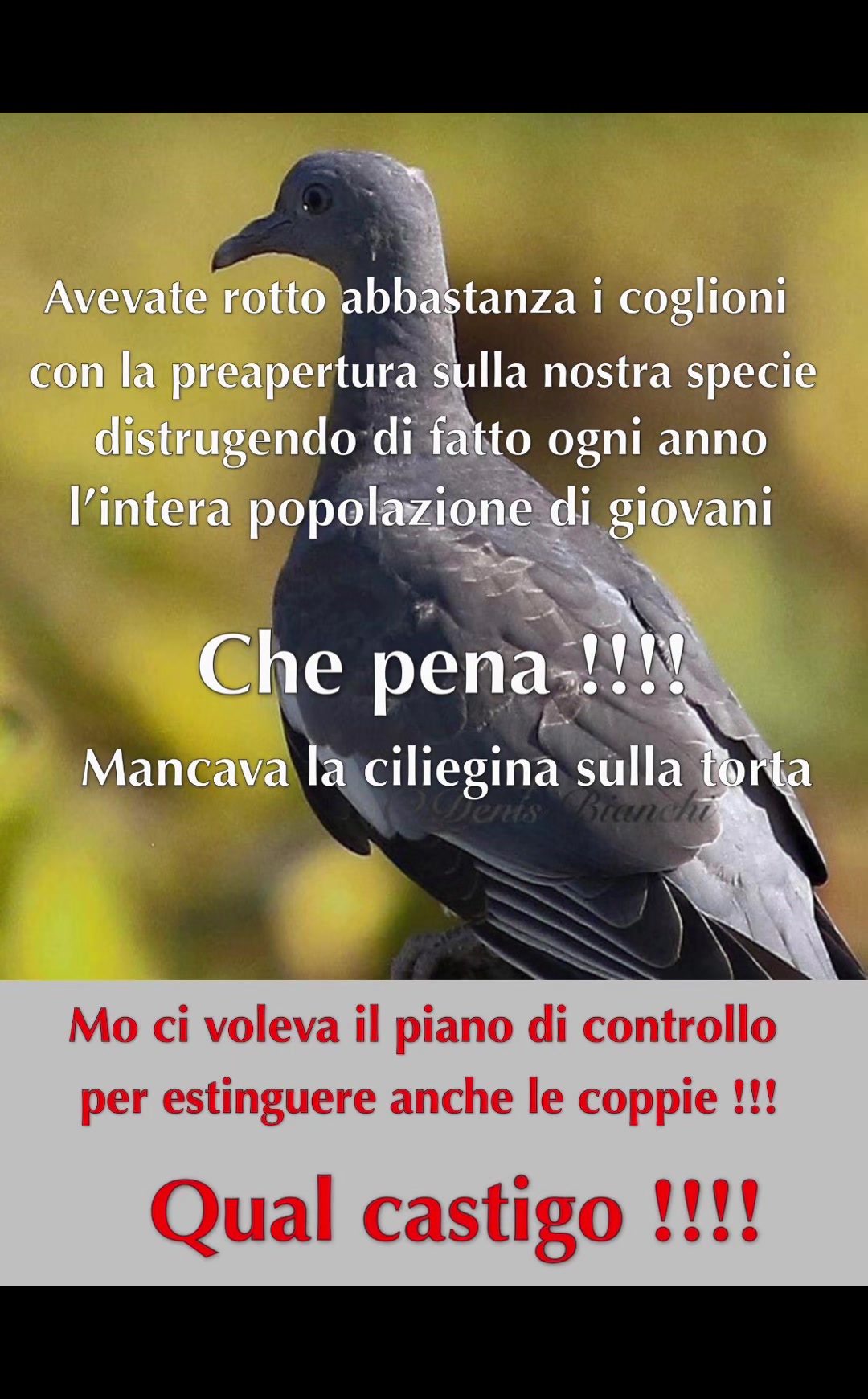 @Denis Bianchi
