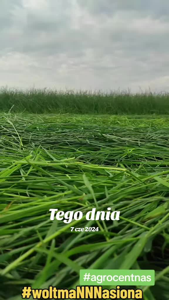 @WOLTMANNNASIONA