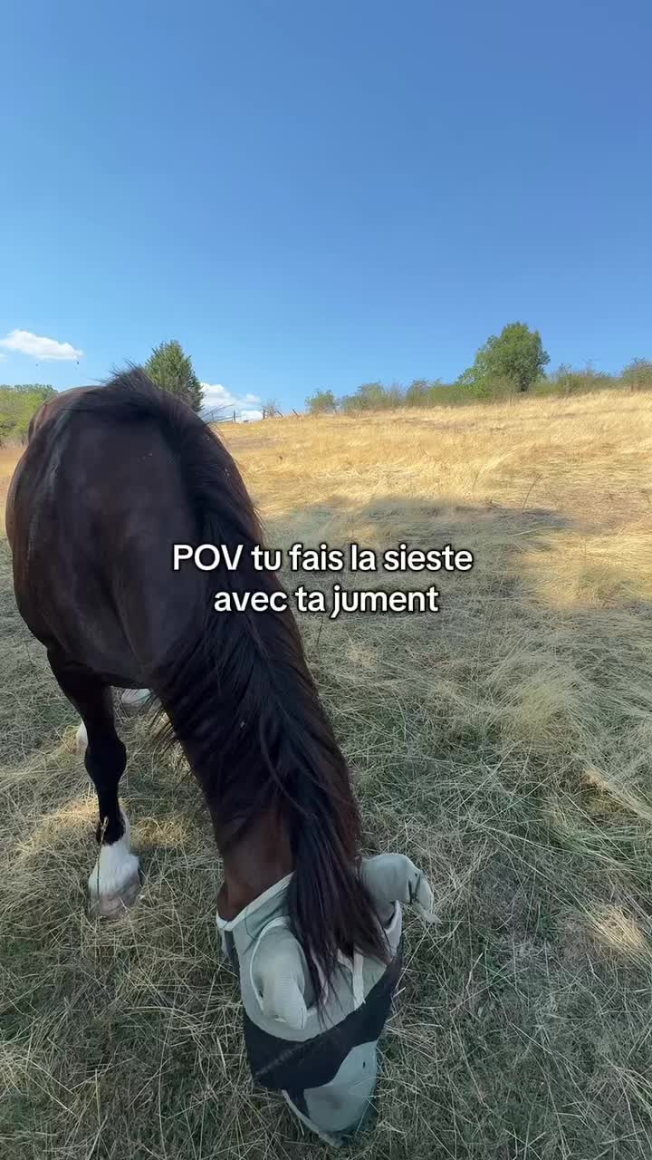 @Seren the pony ๐ด