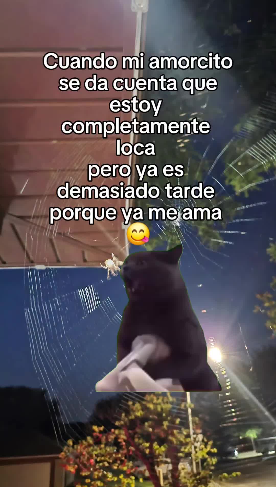 @Yaneli