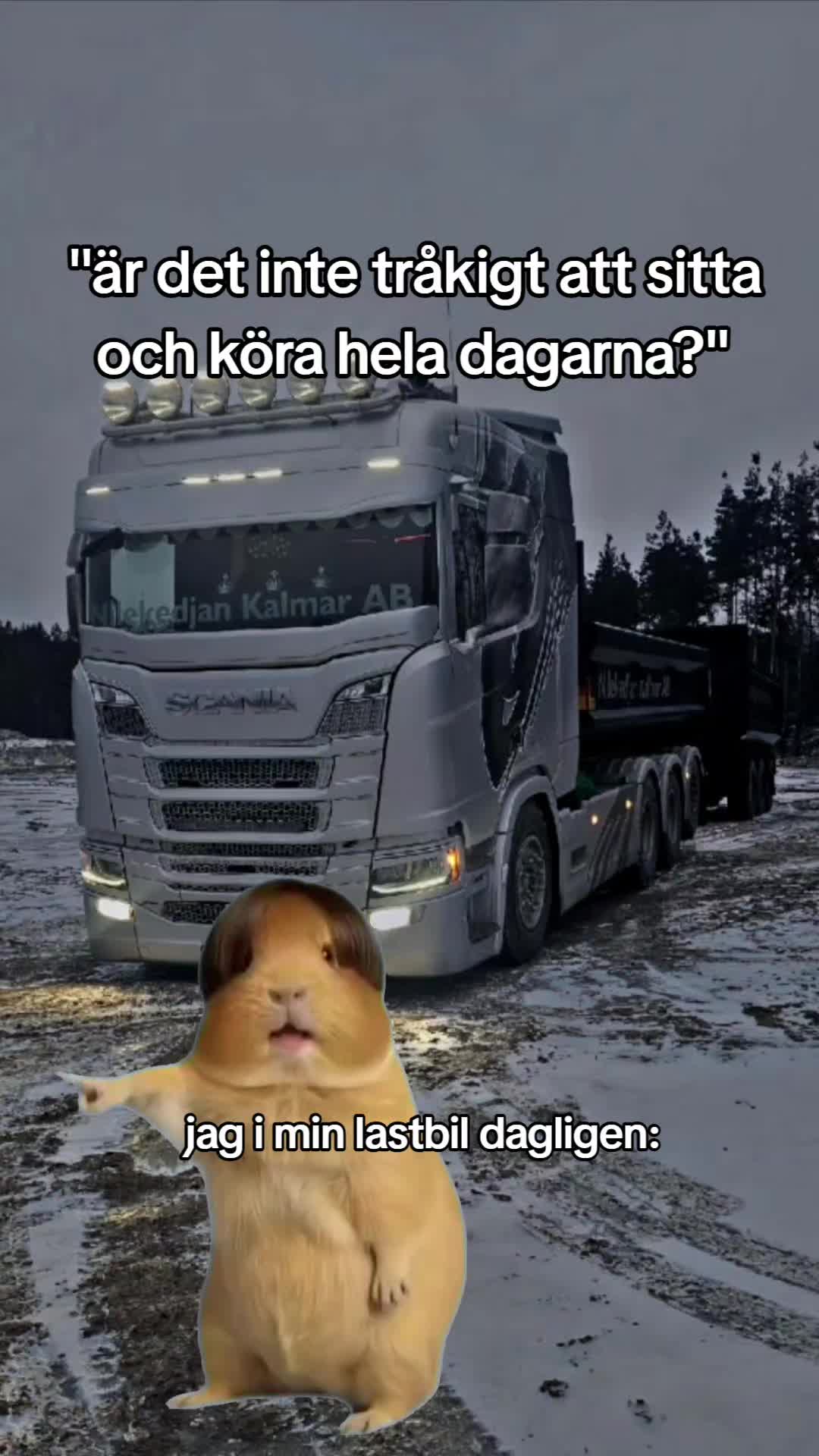 @Emelie Axelsson