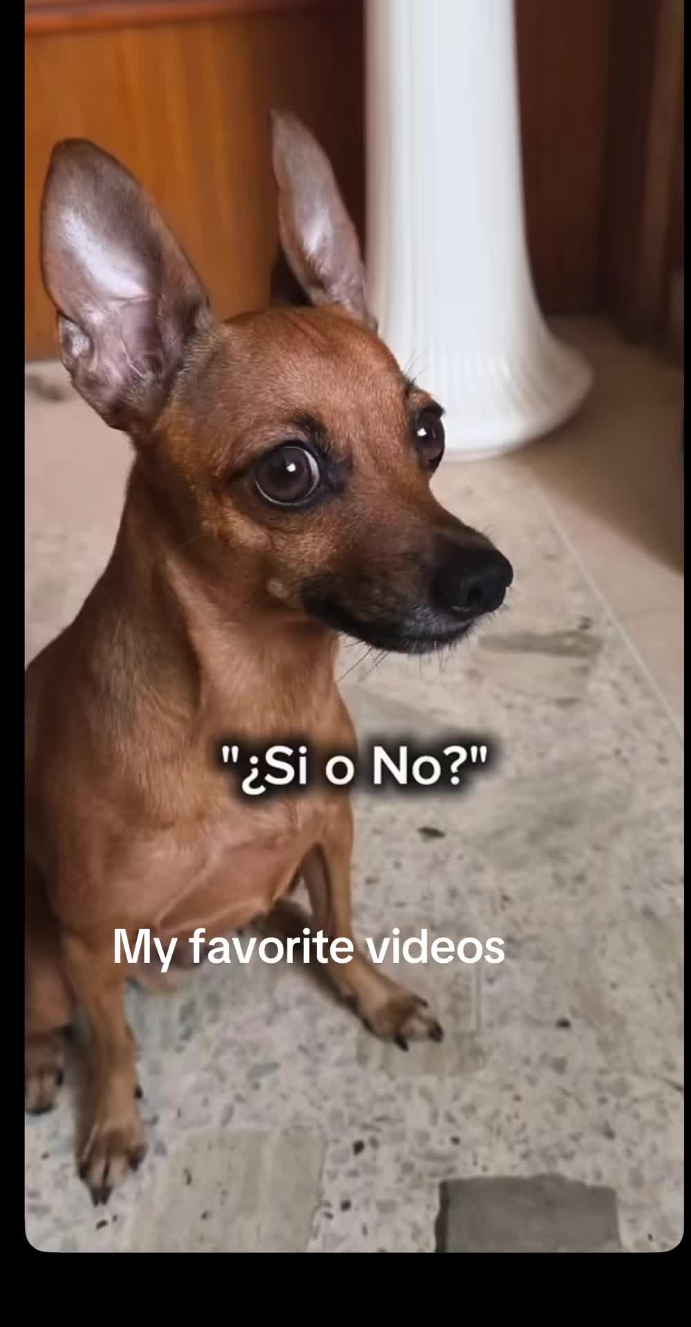 @my favorite videos