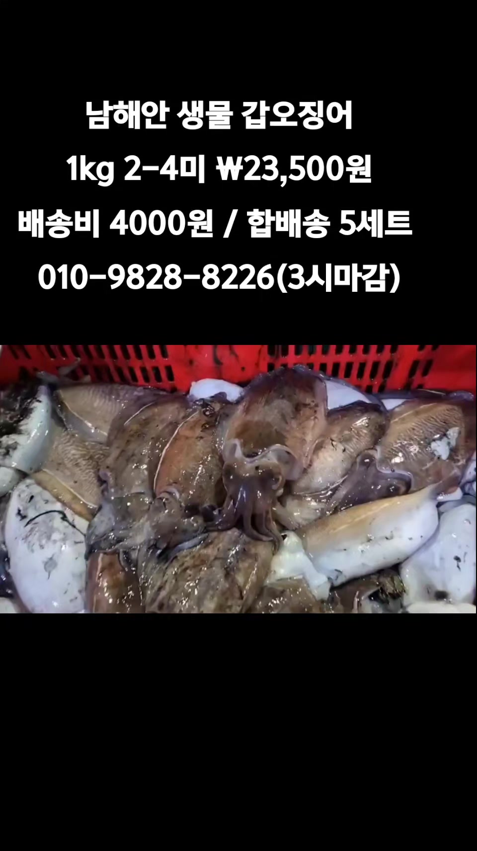 @똑손