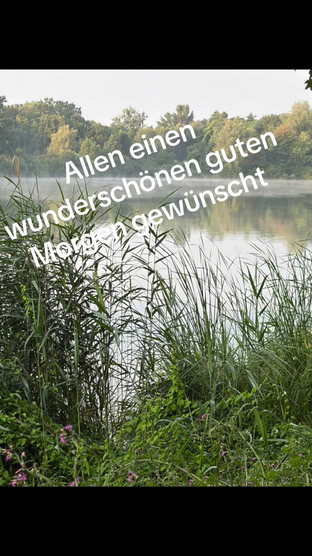 @Bernd